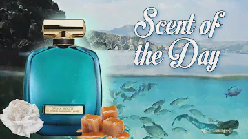 SOTD: Chant D'Extase от Nina Ricci, мягкий и округлый морской аромат ⛵🌊