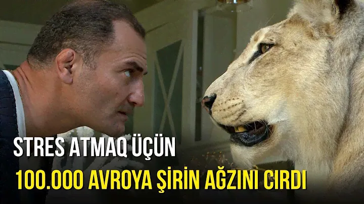 AFRİKADA MÜLKÜ OLAN MƏŞHUR AZƏRBAYCANLI - ARZUNUN VAXTI | BAKU TV